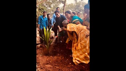 గ్రీన్ ఛాలెంజ్‌ స్వీకరించిన నాగార్జున... తన కోడలు సమంతాకే సవాల్...