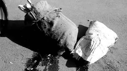 హైదరాబాద్లో ప్రెగ్నెంట్ మర్డర్...నిందితులపై పీడి యాక్టు నమోదు