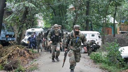 Love angle behind the Bandipora encounter?