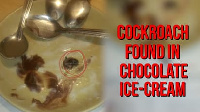 Karnataka: Chocolate ice cream comes topped with cockroach in Bengaluru