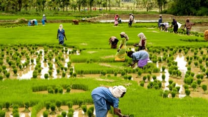 ഓണത്തിന് മലയാളിക്ക് അരിയുടെ കാര്യത്തില് പിശുക്ക് വേണ്ട