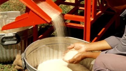 ಅನ್ನಭಾಗ್ಯ ಅಕ್ಕಿಯಲ್ಲಿ ಯೂರಿಯಾ ಗೊಬ್ಬರ! ಪತ್ತೆ ಹೇಗೆ?