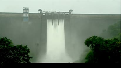 പ്രളയം തടയാന് കേരളത്തിലെ ഡാമുകള്ക്കാവില്ലെന്ന് കേന്ദ്ര ജലകമ്മീഷന്