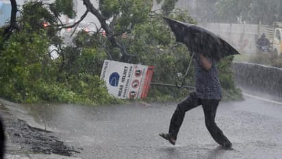 വടക്കന് കേരളത്തില് മഴക്കെടുതിയുടെ കണക്കെടുപ്പ് തുടങ്ങി