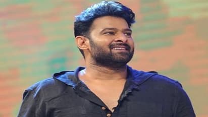 ప్రభాస్ 'సాహో' అసలు కథ ఇదేనట!