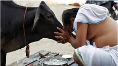 ஆடி அமாவாசை 2024 எப்போது? இந்த 1 எளிய தானம் செய்ங்க.. இனி அதிஷ்டம் தான்!