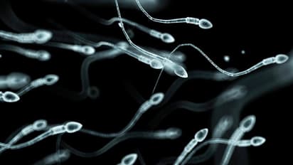 இந்த ஆண்களுக்கெல்லாம் குழந்தையே பிறக்காதாம்… நல்லா தெரிஞ்சுக்கோங்க !!