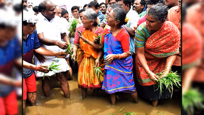 ದೇಶಿ ಗೆಟಪ್’ನಲ್ಲಿ ನಾಟಿ ಮಾಡಿದ ಮುಖ್ಯಮಂತ್ರಿ ಕುಮಾರಸ್ವಾಮಿ