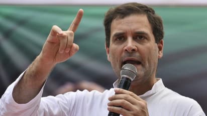 ಮೋದಿ ಅವಧಿಯಲ್ಲಿ ದಲಿತ ದೌರ್ಜನ್ಯ ಹೆಚ್ಚಳ: ರಾಹುಲ್