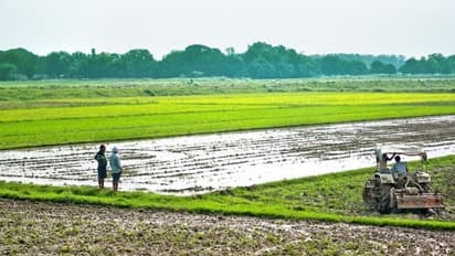 One Nation One Registration: ನಿಮ್ಮ ಭೂಮಿಗೂ ಇನ್ಮುಂದೆ ಸಿಗಲಿದೆ Aadhaar Card!