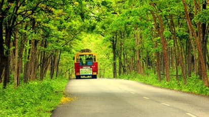 മൈസൂര്-വയനാട് പാതയില് ഗതാഗത നിയന്ത്രണം ഇന്നും തുടരും