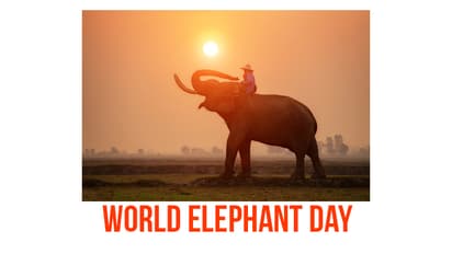 ಇಂದು ವಿಶ್ವ ಆನೆ ದಿನ : ಗಜರಾಜನ ಬಗ್ಗೆ ತಿಳಿದುಕೊಳ್ಳಬೇಕಾದ 6 ಸಂಗತಿಗಳು