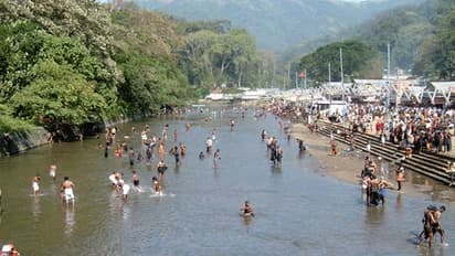 പമ്പയിൽ 90 കാട്ടുപന്നികളെ ഉള്ക്കാട്ടിലേക്ക് മറ്റി, ഓഫ് റോഡ് ആംബുലന്സും റെഡി, എല്ലാം സുസജ്ജമെന്ന് വനംവകുപ്പ്