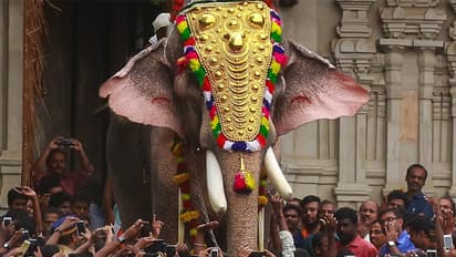 തെച്ചിക്കോട്ടുകാവ് രാമചന്ദ്രന്റെ വിലക്ക് നീക്കി