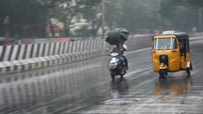 പാലക്കാട് മഴയ്ക്ക് നേരിയ ശമനം; മലമ്പുഴ അണക്കെട്ടിന്റെ ഷട്ടറുകള് കൂടുതല് ഉയര്ത്തില്ല