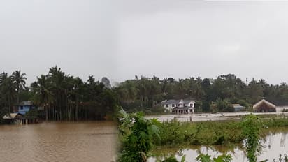 വയനാടിന് ആശ്വാസമായി മഴ ശമിക്കുന്നു; കെടുതികള് രൂക്ഷം