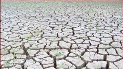 बदल रहा है मानसून का पैटर्न, कमजोर प्री-मानसून से महाराष्ट्र में सूखे की स्थिति