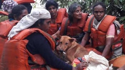 केरल में तबाही के बीच सामने आई इंसान के पालतू जानवरों से प्रेम की अनोखी मिसाल