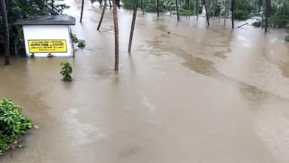 പ്രളയം; ഡെപ്യൂട്ടി കളക്ടർക്കും തഹസില്ദാറിനുമെതിരെ നടപടി ആവശ്യപ്പെട്ട് കൃഷി മന്ത്രി