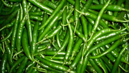 কাঁচালঙ্কা রোজ একটি করে! উপকার জানলে আজ থেকেই খাবেন