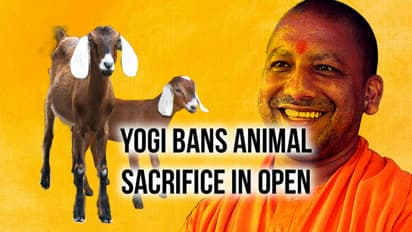 This Bakrid, no animal sacrifice in open in Yogi’s Uttar Pradesh