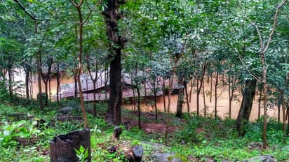 ചെങ്ങന്നൂരില് പ്രളയം കൈകാര്യം ചെയ്തതില് വീഴ്ച വരുത്തിയ ഉദ്യോഗസ്ഥന് സ്ഥലം മാറ്റം