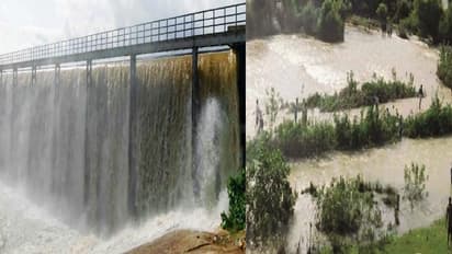 ತಡೆಗೋಡೆ ಒಡೆದು ಗದ್ದೆ ಜಲಾವೃತ