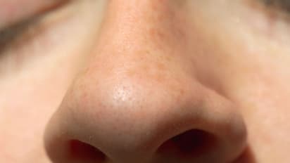 உங்கள் மூக்கு இப்படி இருக்கா..?  இதுக்கு அர்த்தம்  "அதுதான்"..!