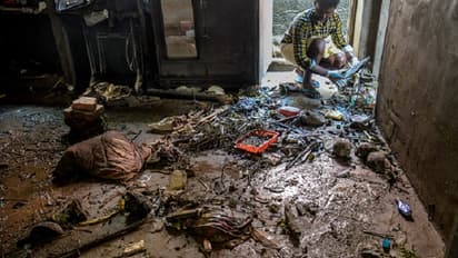 Nation vs nature: Will 2018 still be known as international year of millets or year of challenges?