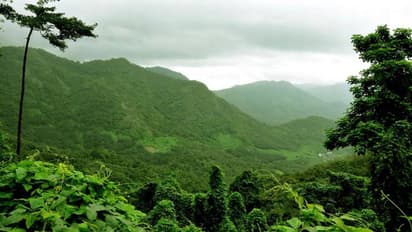 കരട് വിജ്ഞാപനത്തിന്‍റെ കാലാവധി 31 വരെ,  പരിസ്ഥിതി ലോല മേഖലകളിൽ വ്യക്തത തേടി കര്‍ഷകർ പ്രക്ഷോഭത്തിലേക്ക്