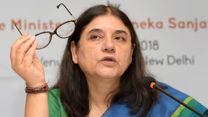 Maneka Gandhi: Want Indian girl abandoned by Spanish foster parents ‘back at any cost’