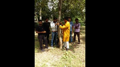 पेड़ों को राखी बांध युवाओं ने दिया पर्यावरण संरक्षण का संदेश