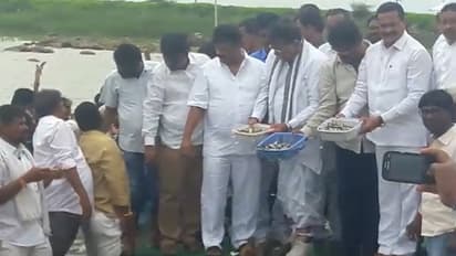 చెరువులో చేప పిల్లలను వదిలిన తెలంగాణ మంత్రులు (వీడియో)