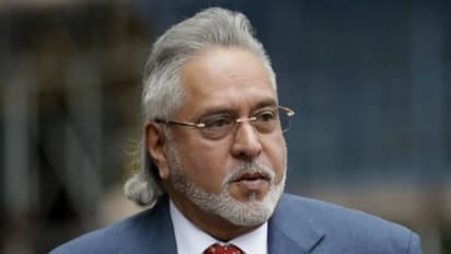 Vijay Mallya: Corruption germane to Indian democracy