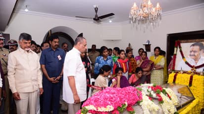 హరికృష్ణ మృతి: అతను డ్రైవర్గా చేరి ఉంటే..