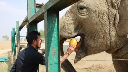 ಪ್ರಧಾನಿ ಮೋದಿಗೆ ಪತ್ರ ಬರೆದ ಸ್ಪಿನ್ನರ್ ಯುಜುವೇಂದ್ರ ಚೆಹಾಲ್