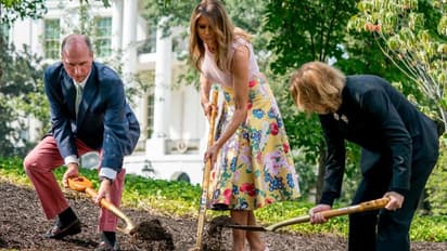 ഗ്ലാമര് ലുക്കില് പുന്തോട്ട പരിപാലനത്തിനിറങ്ങിയ ട്രംപിന്റെ ഭാര്യ മെലാനിയക്ക് ട്രോള് മഴ