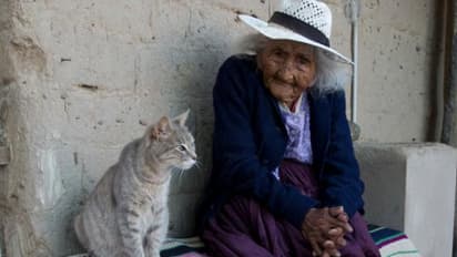 സമൂഹമാധ്യമങ്ങളില് വൈറലായി ലോകമുത്തശിയും കൂട്ടുകാരും