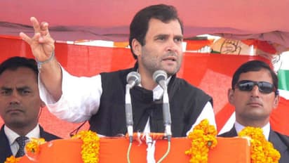 Rahul Gandhi retains Harvard professor Steve Jarding's services to trump Modi in 2019 polls