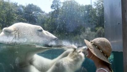 அதிசயிக்க வைக்கும் ஆச்சர்ய புகைப்படங்கள்..? மிஸ் பண்ணிடாதீங்க பாஸ்..!