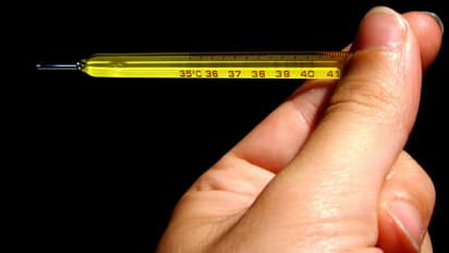 കടുത്ത വേനല്: മഞ്ഞപ്പിത്തത്തിനെതിരെ എടുക്കേണ്ട ചില മുൻകരുതലുകൾ