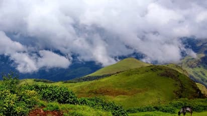 ಪಶ್ಚಿಮ ಘಟ್ಟದಲ್ಲಿ ಕಾಮಗಾರಿ ನಿರ್ಬಂಧ?
