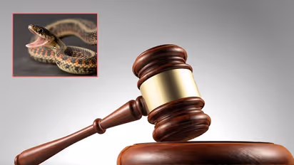 జడ్జిగారిని కాటేసిన పాము.. వాదనలు వింటుండగానే ఘటన