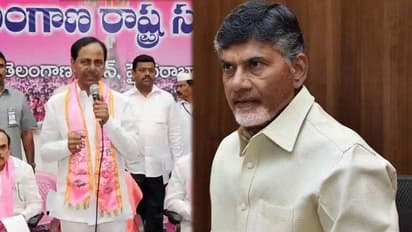 తెలంగాణలో చంద్రబాబు సర్వేలు: కేసిఆర్ సీరియస్