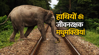 कुछ ऐसे हाथियों की जान बचा रहा है रेलवे