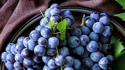 മുന്തിരി കഴിക്കും മുമ്പ് വെള്ളത്തില് മുക്കിവയ്ക്കേണ്ടതുണ്ടോ?