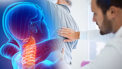 World Physiotherapy Day, Back Pain to Injury Recovery, Here’s Why Physiotherapy Is So Important