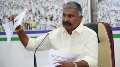 చంద్రబాబు  దత్తపుత్రుడు: పవన్ కల్యాణ్ కు పెద్దిరెడ్డి  కౌంటర్