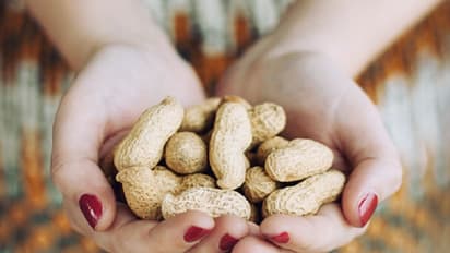 ಶೇಂಗಾ ತಿಂದರೇನು ಲಾಭ ಗೊತ್ತಾ?