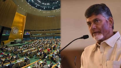 చంద్రబాబుకు అరుదైన గౌరవం.. ఐక్యరాజ్యసమితి నుంచి ఆహ్వానం